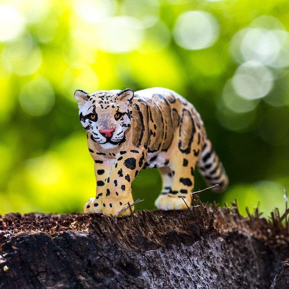 Clouded Leopard | Safari Ltd®