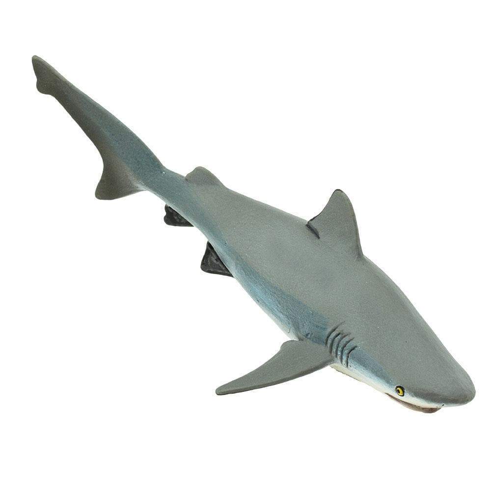 Bull Shark Toy | Sea Life | Safari Ltd®