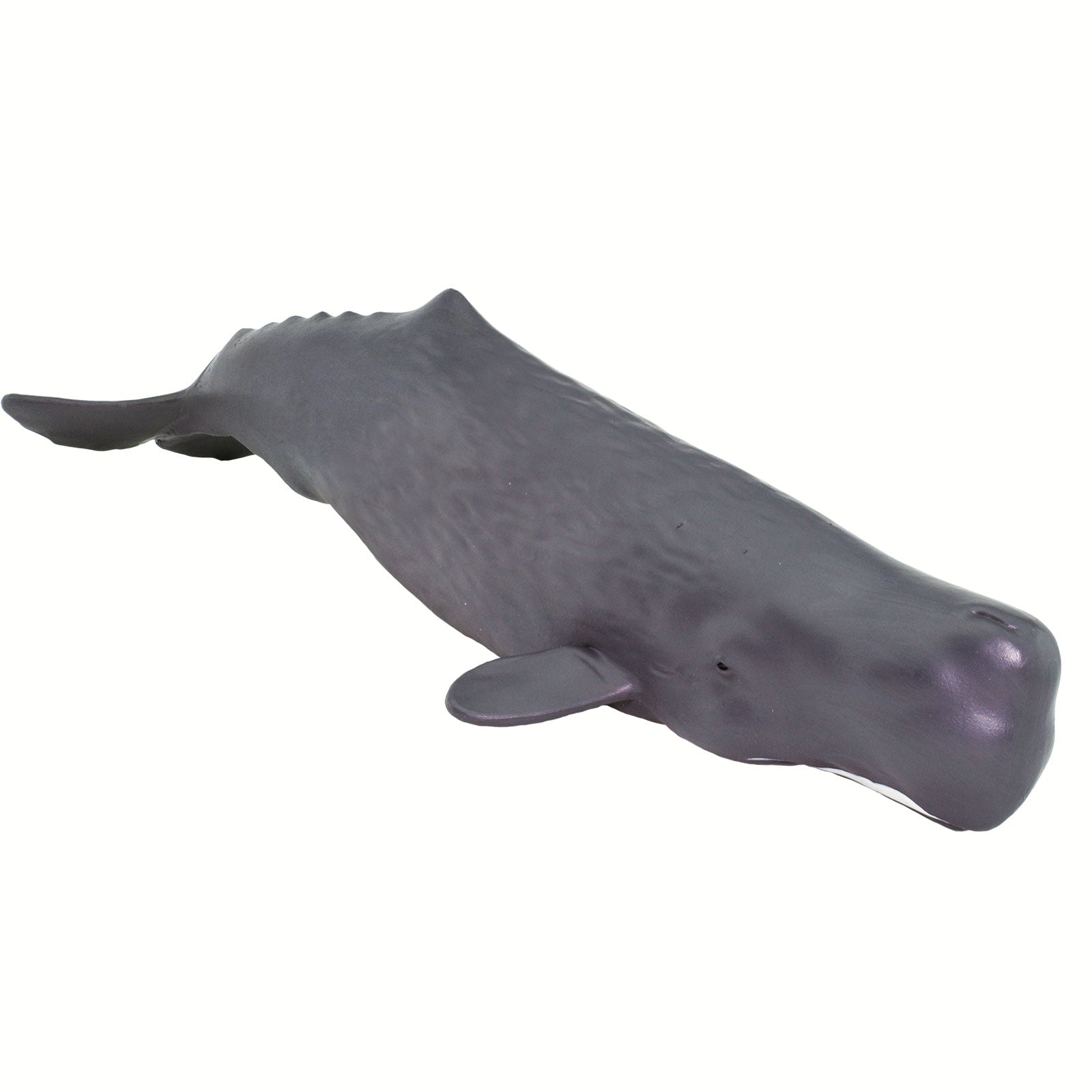 Sperm Whale Toy | Sea Life | Safari Ltd®