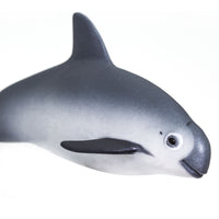 Vaquita Porpoise Toy | Sea Life | Safari Ltd®