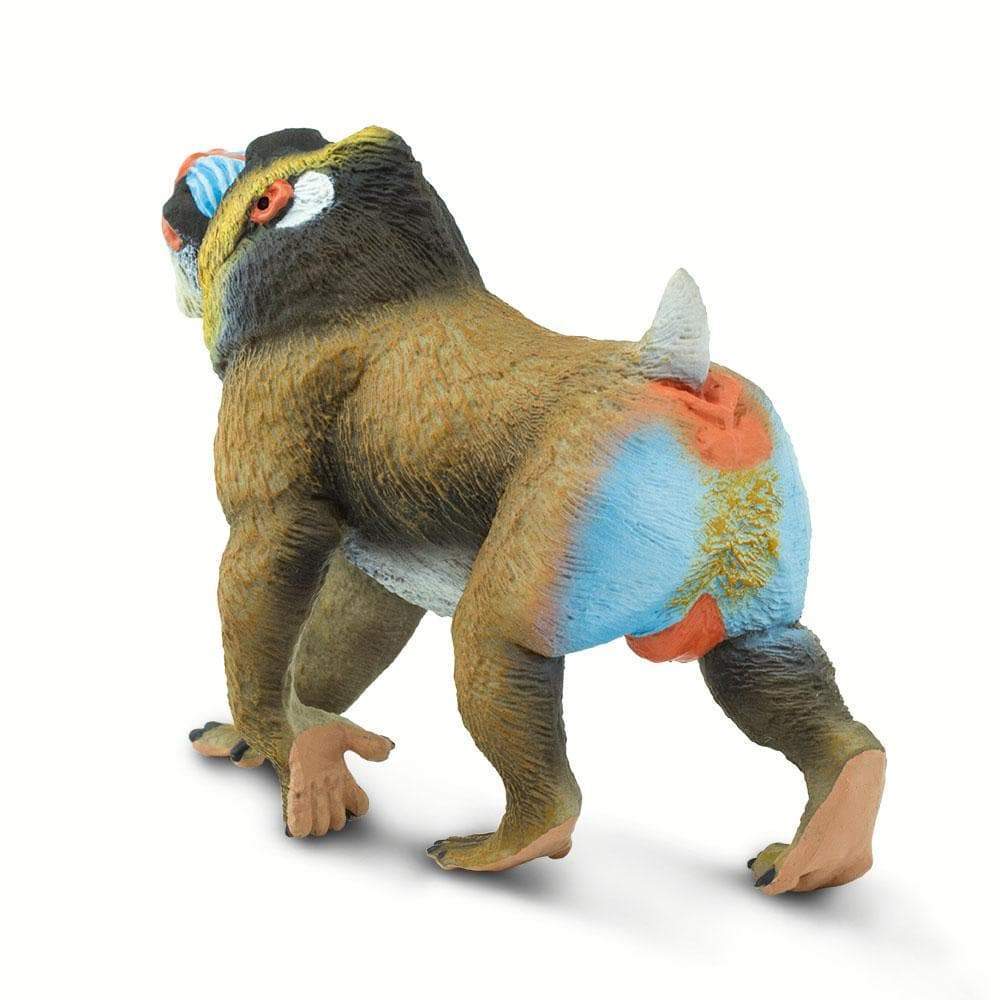 Mandrill Toy | Wildlife Animal Toys | Safari Ltd®