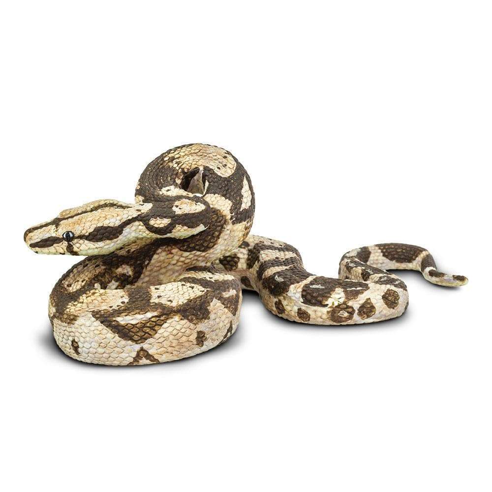 Boa Constrictor Toy Snake | Safari Ltd® Snake Figurine | Safari Ltd®