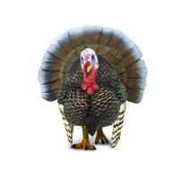 Turkey Toy | Farm | Safari Ltd®