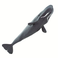 Sperm Whale Toy | Sea Life | Safari Ltd®