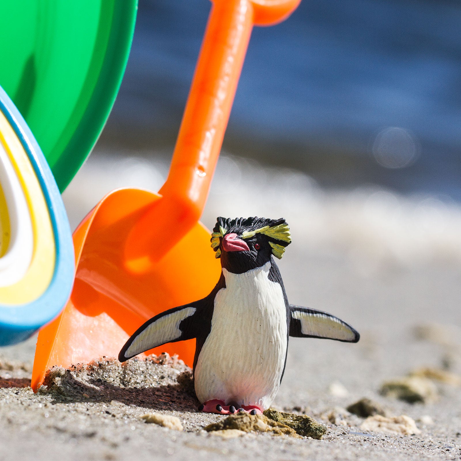 Rockhopper Penguin Toy | Safari Ltd®