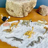 Sahara Desert Animals TOOB |  | Safari Ltd®