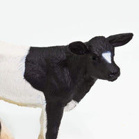 Holstein Calf Toy | Farm | Safari Ltd®