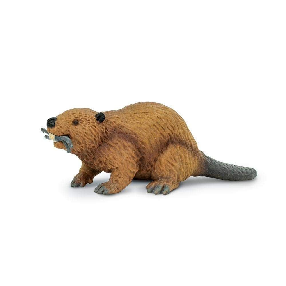 Beaver Toy - Safari Ltd Beaver Toy - Safari Ltd