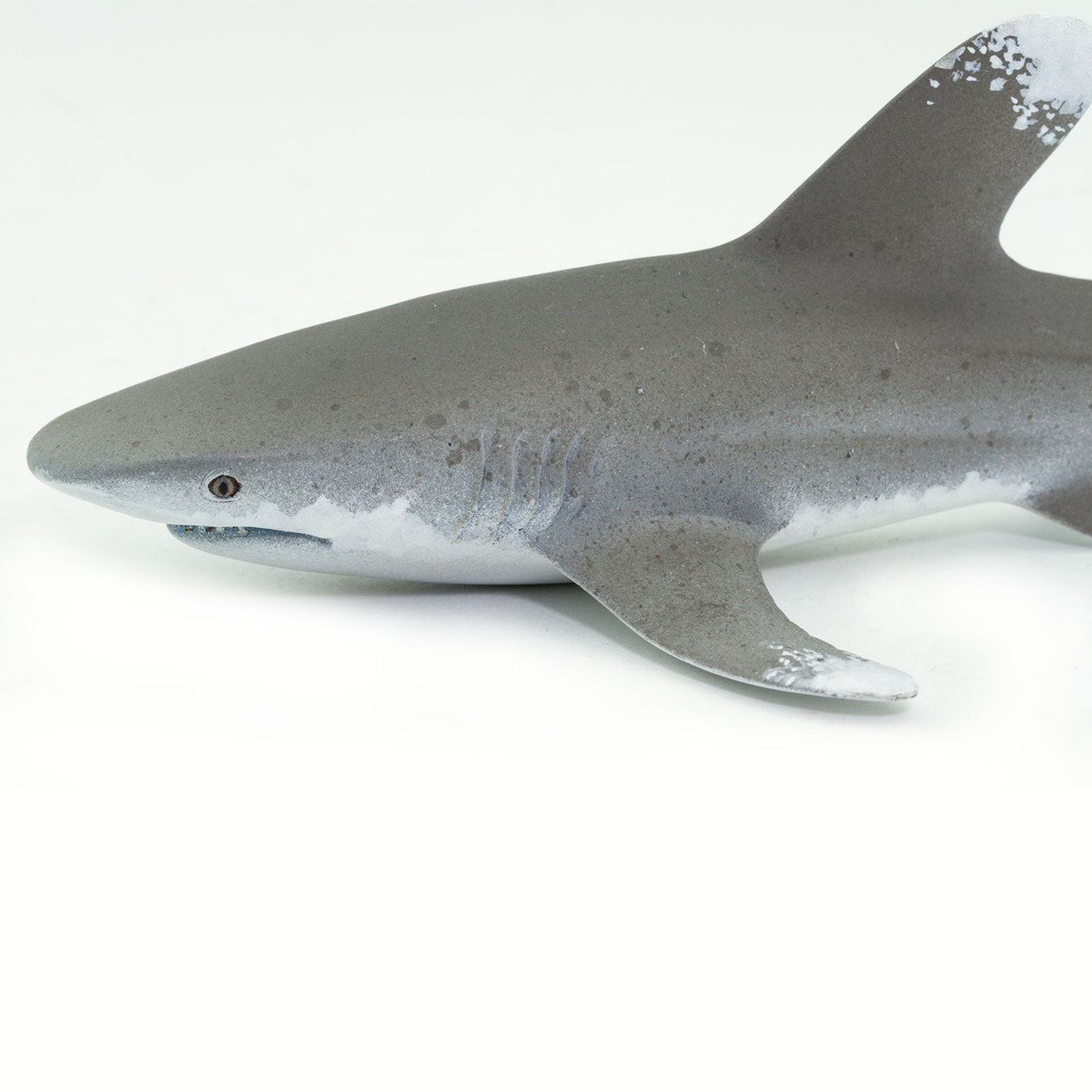 Oceanic Whitetip Shark Toy | Sea Life | Safari Ltd®