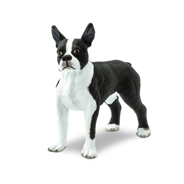Boston Terrier Toy | Farm | Safari Ltd®