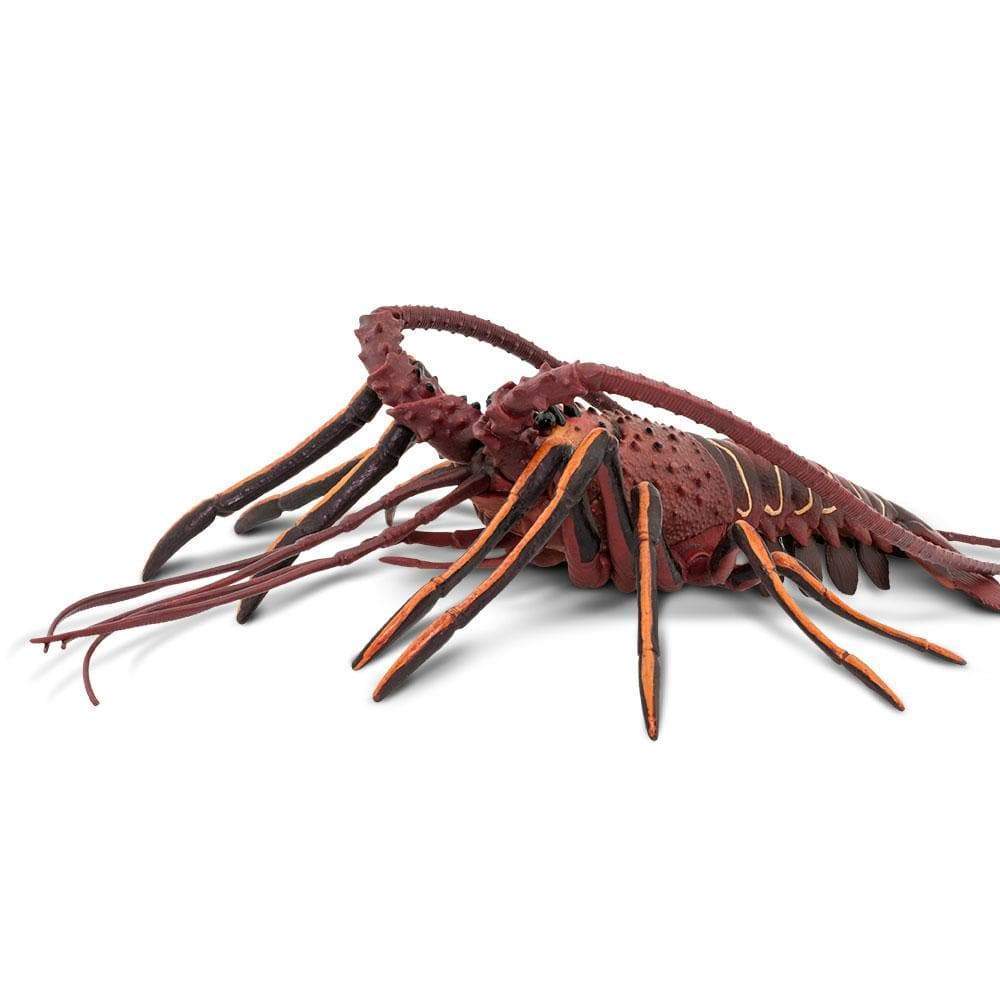 Spiny Lobster Toy | Incredible Creatures | Safari Ltd®