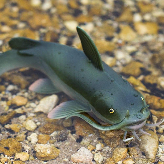 Catfish Toy | Incredible Creatures | Safari Ltd®