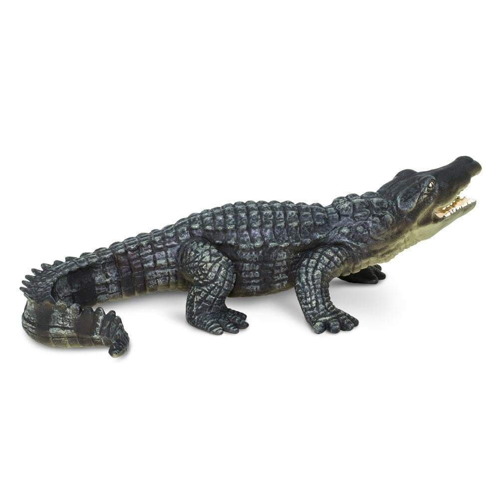 Crocodile Toy | Wildlife Animal Toys | Safari Ltd®