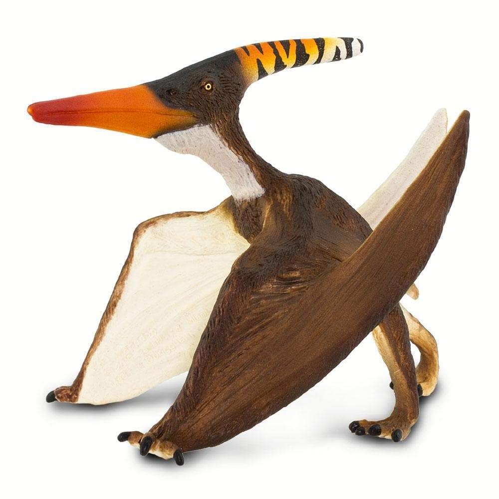 Pteranodon | Dinosaur Toys | Safari Ltd®