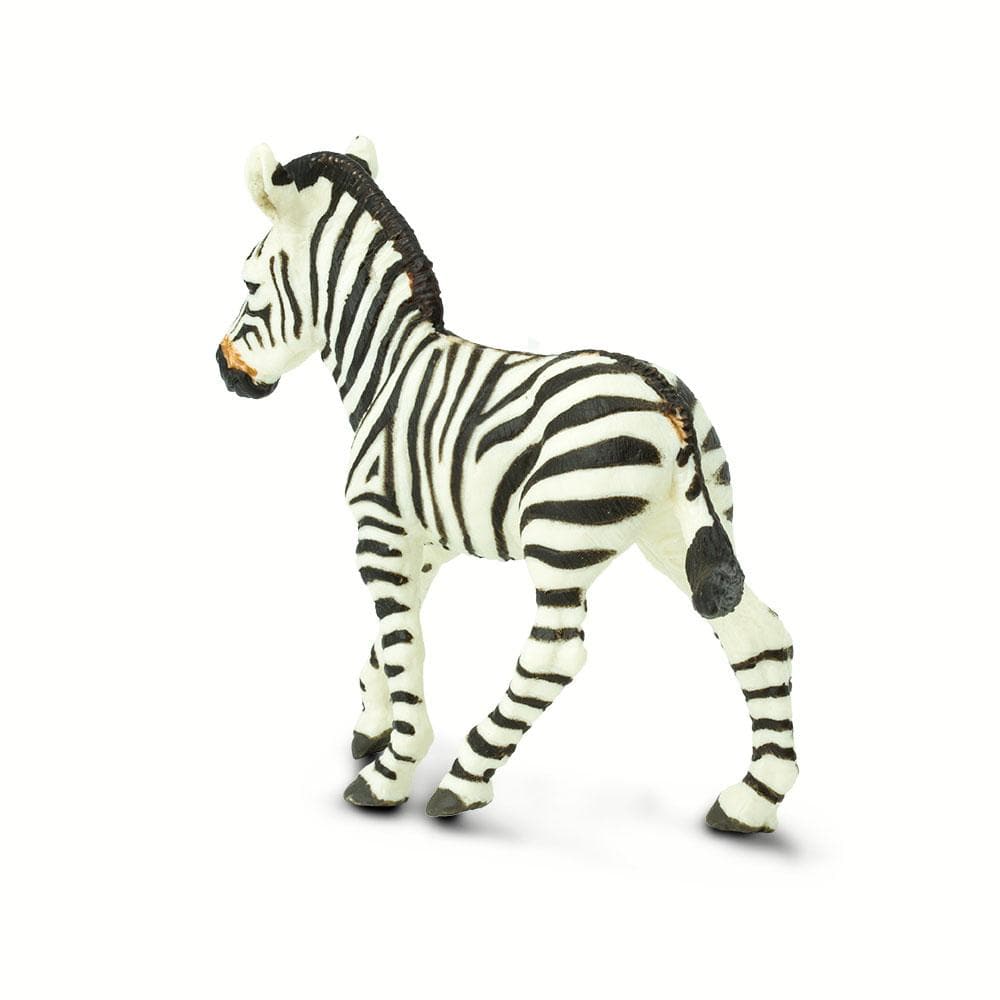 Zebra Foal Toy | Wildlife Animal Toys | Safari Ltd®