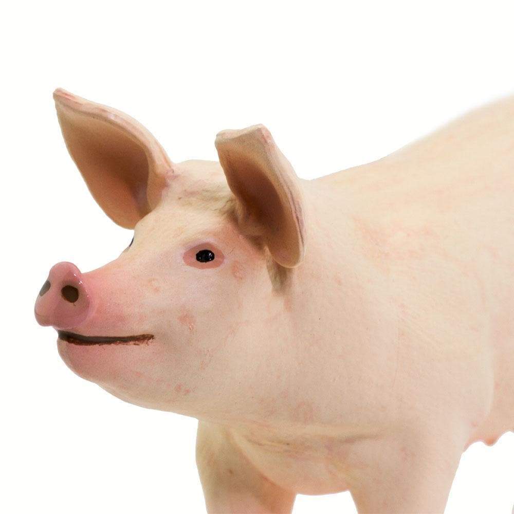 Large White Pig Toy | Incredible Creatures | Safari Ltd®