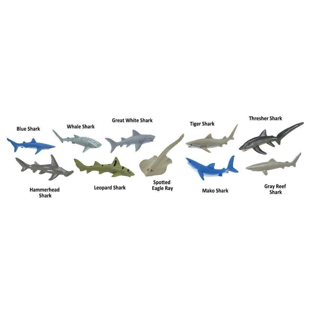 Sharks TOOB® | TOOBS® - Mini Toys | Safari Ltd®