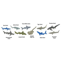 Sharks TOOB® | TOOBS® - Mini Toys | Safari Ltd®