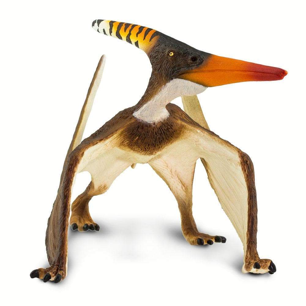 Pteranodon Pterodactyl Toy Papo Pteranodon Model