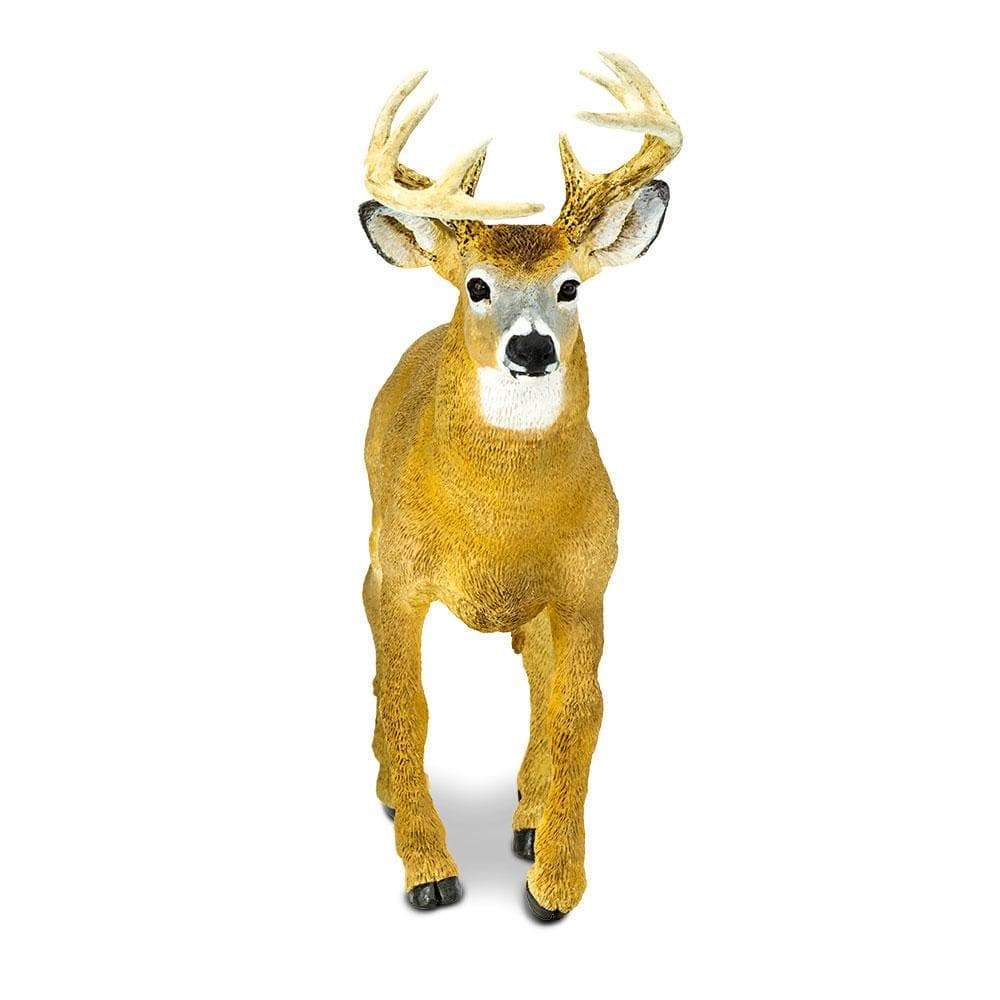 Whitetail Deer Buck Toy | Safari Ltd®