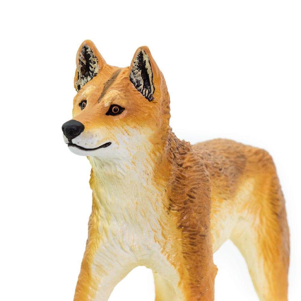 Dingo Toy | Wildlife Animal Toys | Safari Ltd®