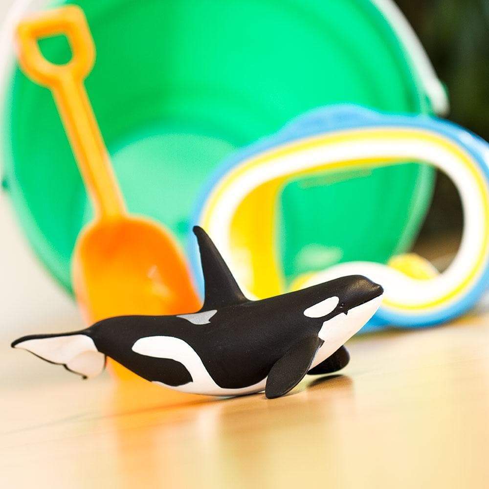 Orca Figure – Realistic Killer Whale Toy for Kids, Boys and Girls