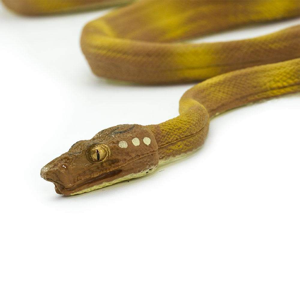 Amazon Tree Boa Toy Snake | Safari Ltd®
