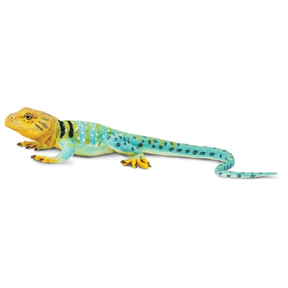 Collared Lizard Toy Figurine| Safari Ltd® Reptile Model