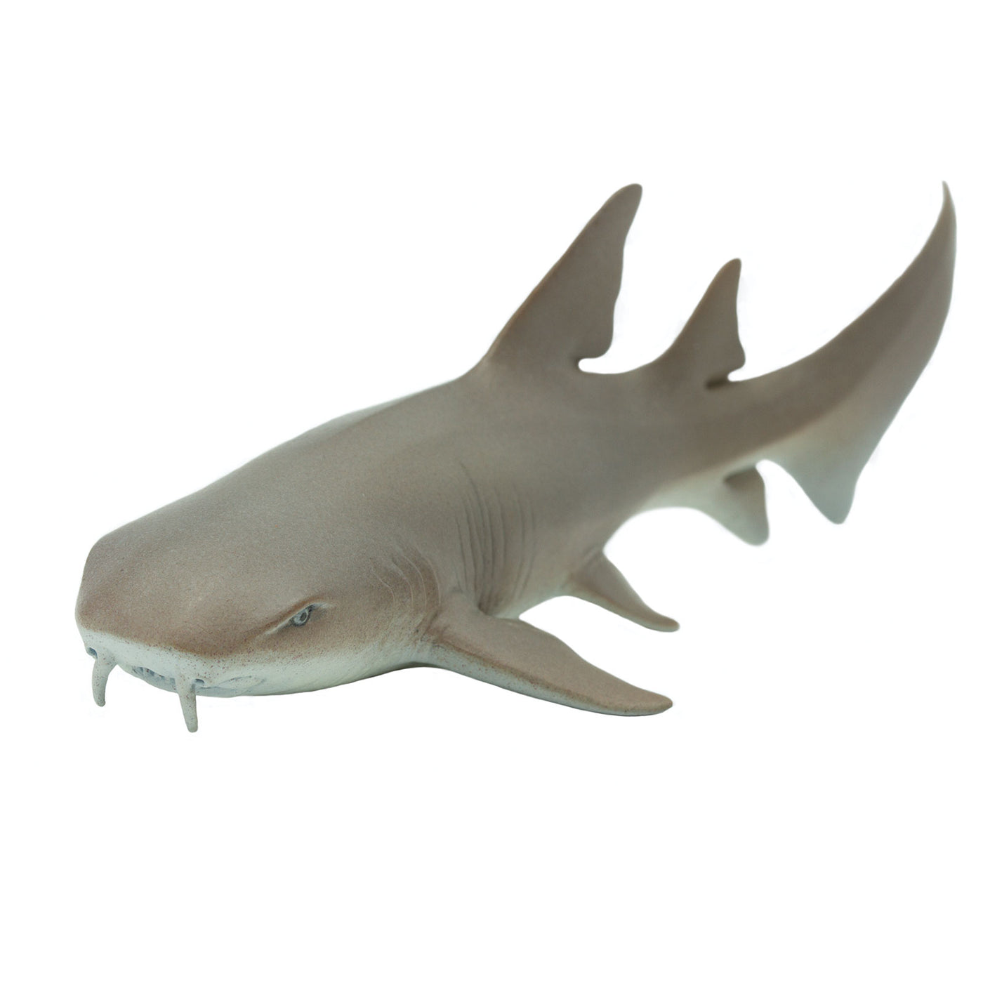 Nurse Shark Toy | Sea Life | Safari Ltd®