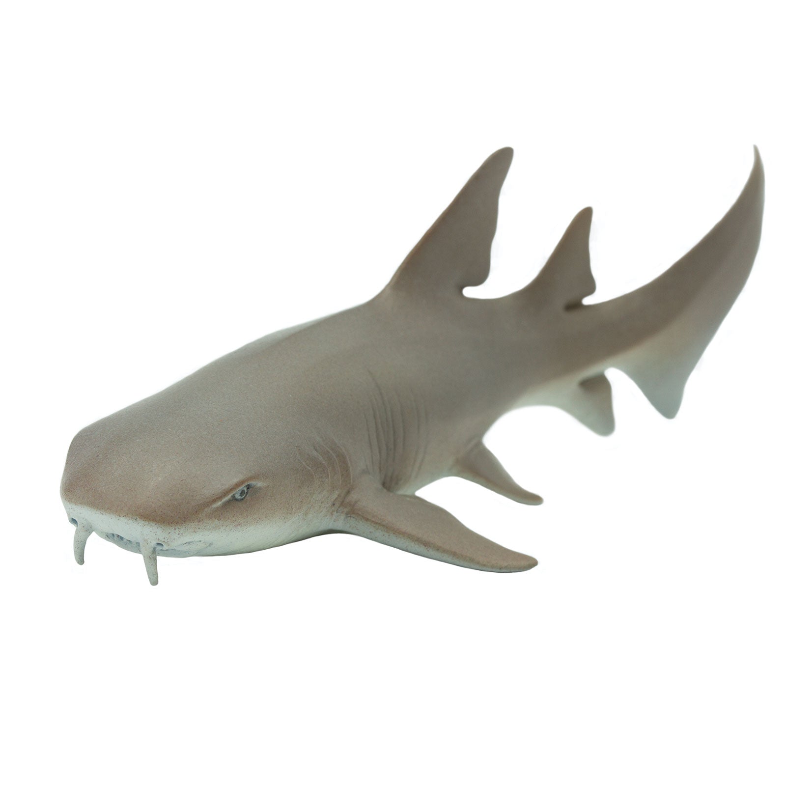 Nurse Shark Toy | Sea Life | Safari Ltd®