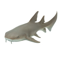 Nurse Shark Toy | Sea Life | Safari Ltd®