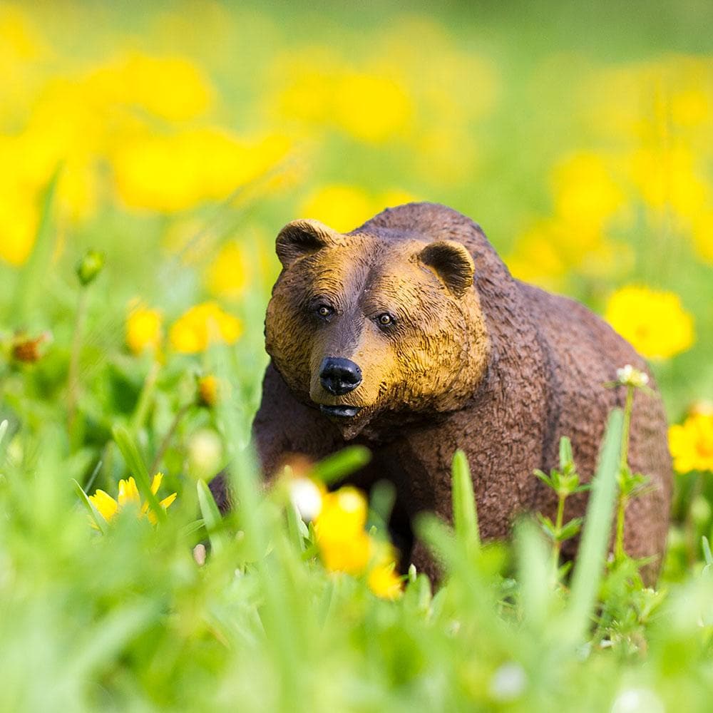 Grizzly Bear Toy | Wildlife Animal Toys | Safari Ltd®