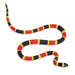 Coral Snake Baby - Safari Ltd®