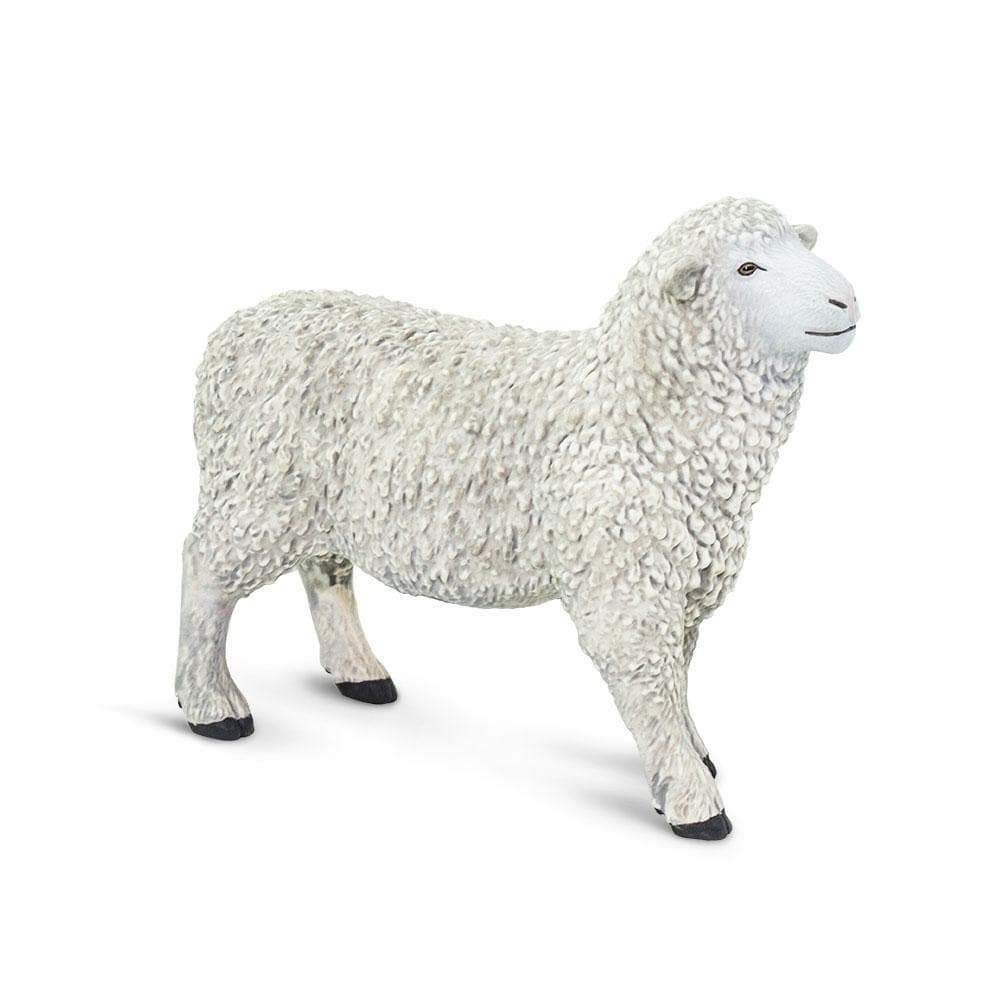 Sheep | Farm | Safari Ltd®