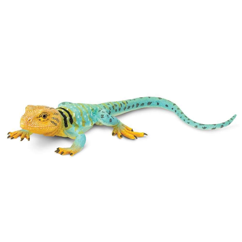 Collared Lizard Toy | Incredible Creatures | Safari Ltd®