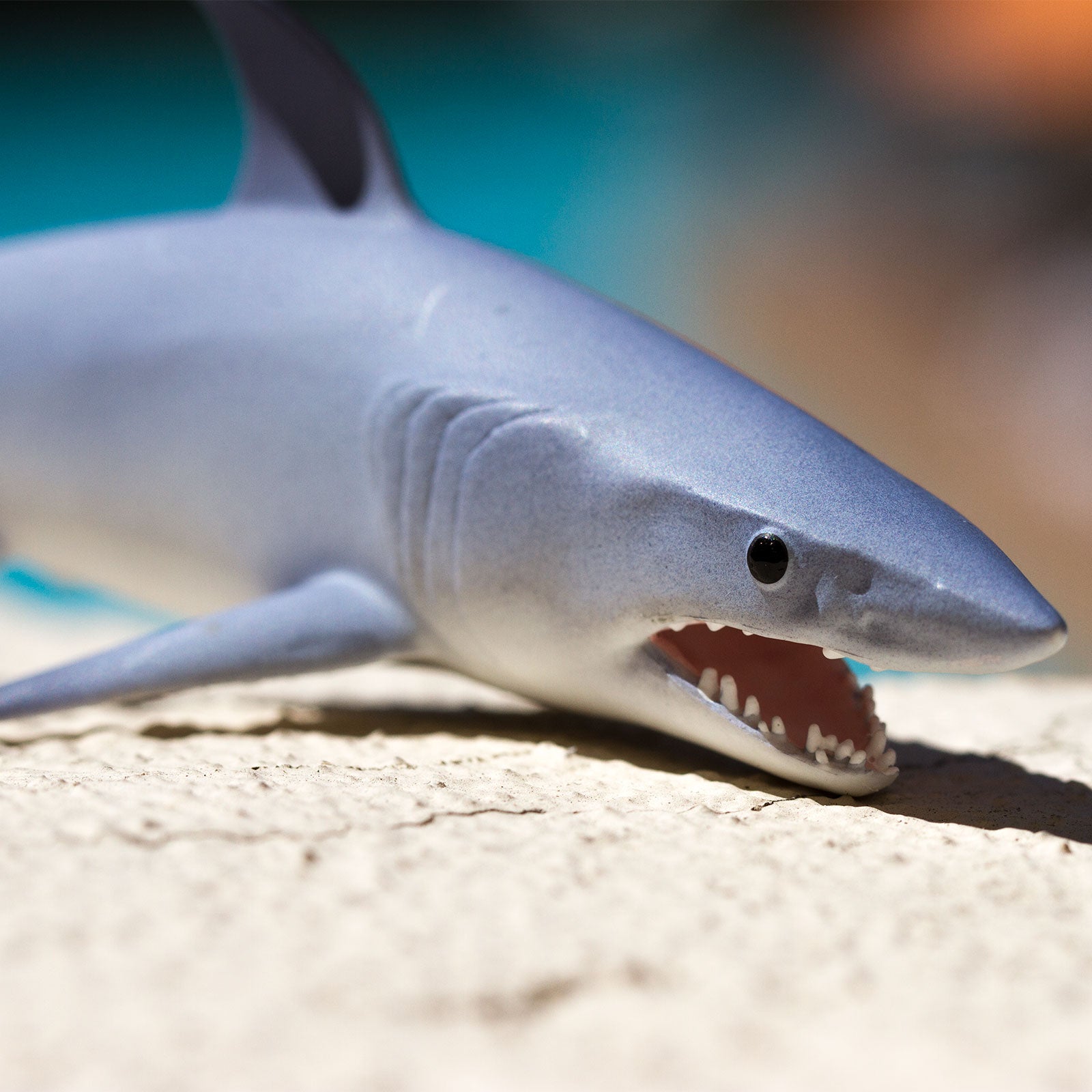 置物 Mako Mako Shark Toy – Realistic Ocean Predator | Safari Ltd® | Safari Ltd®