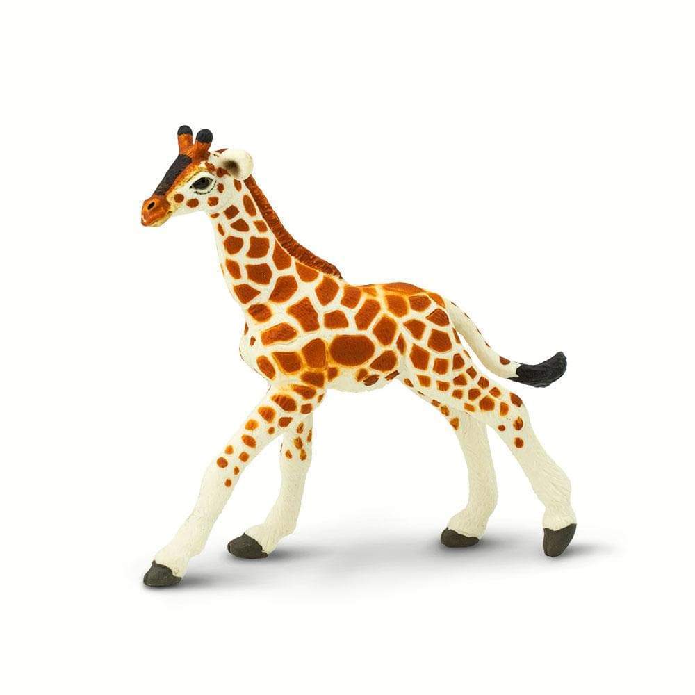 Reticulated Giraffe Baby Toy | Wildlife Animal Toys | Safari Ltd®