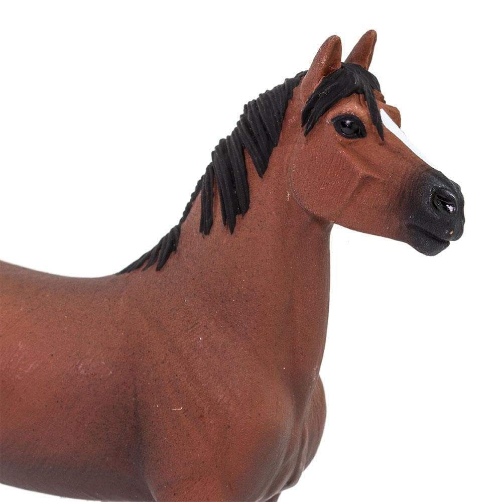 Morgan Stallion Toy | Farm | Safari Ltd®