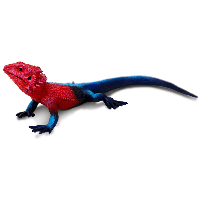 Mwanza Flat-Headed Rock Agama Toy Figure - Safari Ltd®