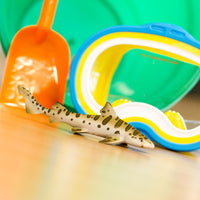 Leopard Shark Toy | Sea Life | Safari Ltd®