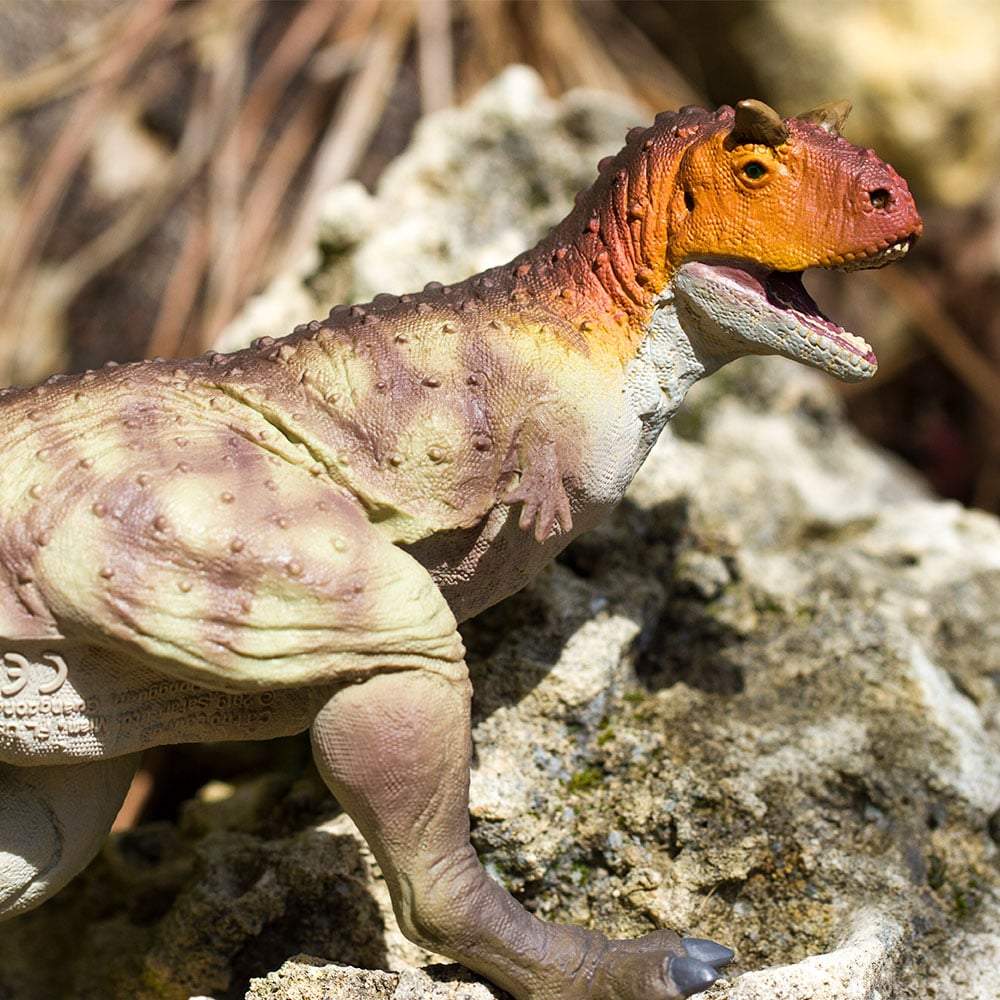 Carnotaurus Toy | Dinosaur Toys | Safari Ltd®