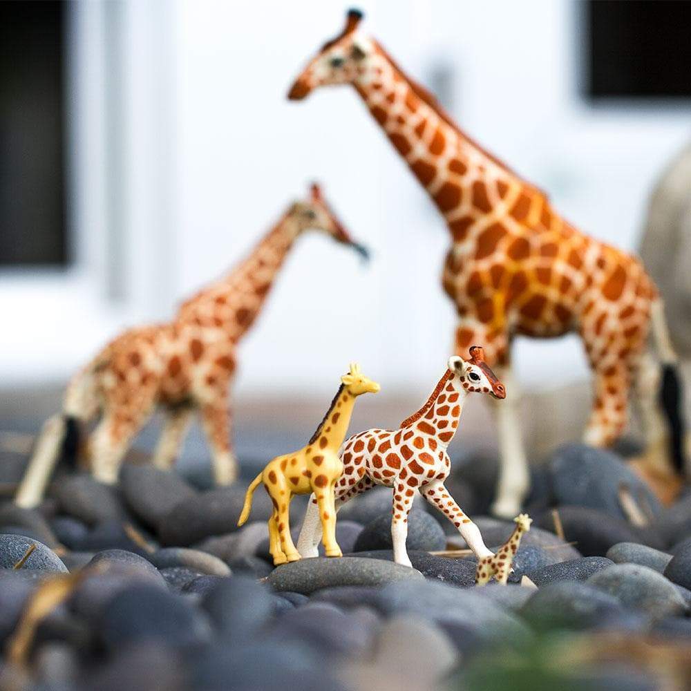 Reticulated Giraffe Baby Toy | Wildlife Animal Toys | Safari Ltd®