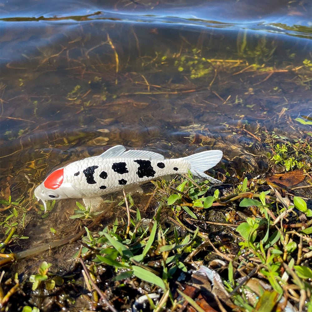Tancho Koi Fish Figurine – Realistic Aquatic Toy | Safari Ltd