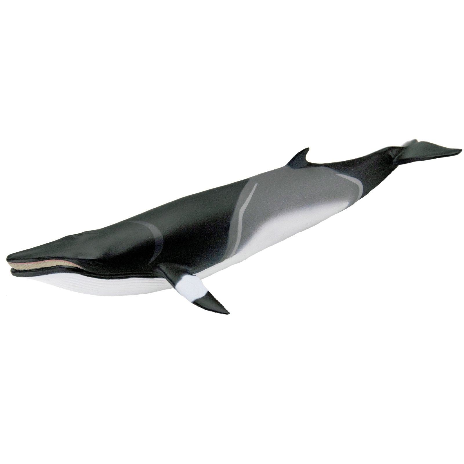 ふわふわのオットセイ Minke Whale Sea Life Toy Figure | Safari Ltd®