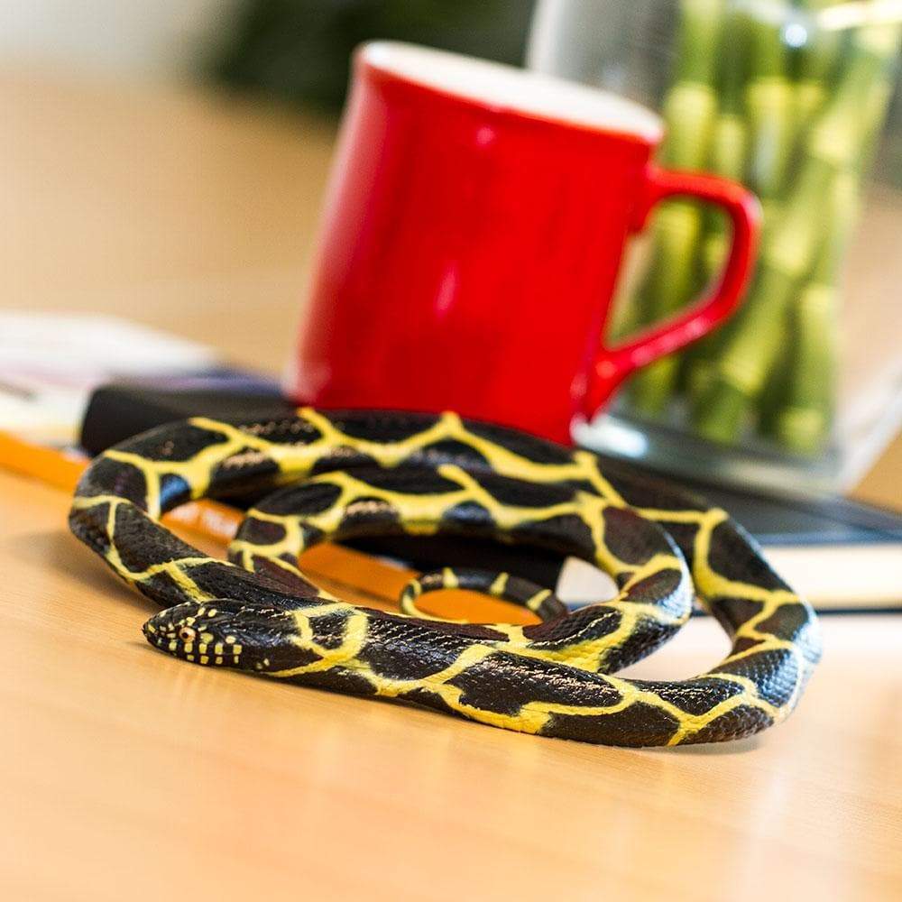 Chain Kingsnake Toy | Incredible Creatures | Safari Ltd®