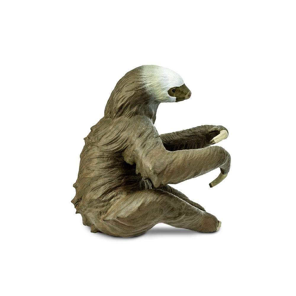 Two-Toed Sloth Toy | Wildlife Animal Toys | Safari Ltd®
