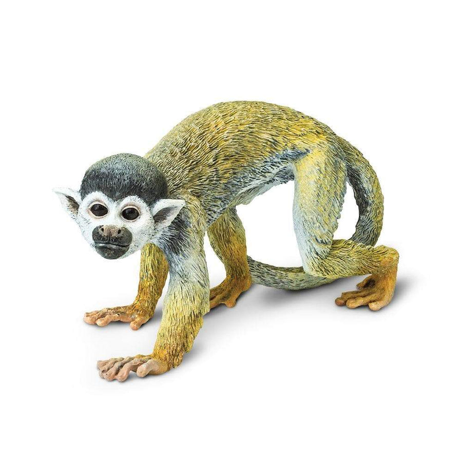Squirrel Monkey Toy | Incredible Creatures | Safari Ltd®