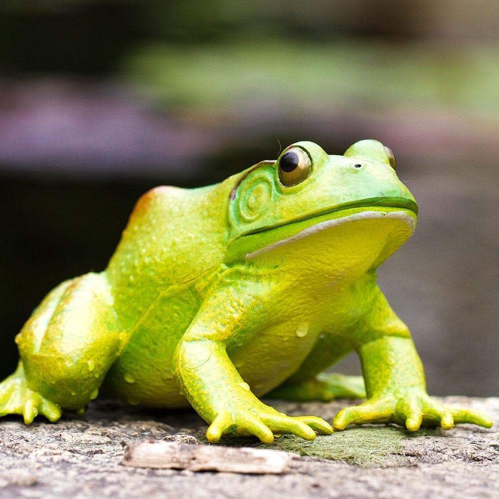 American Bullfrog Amphibian Toy | Safari Ltd®