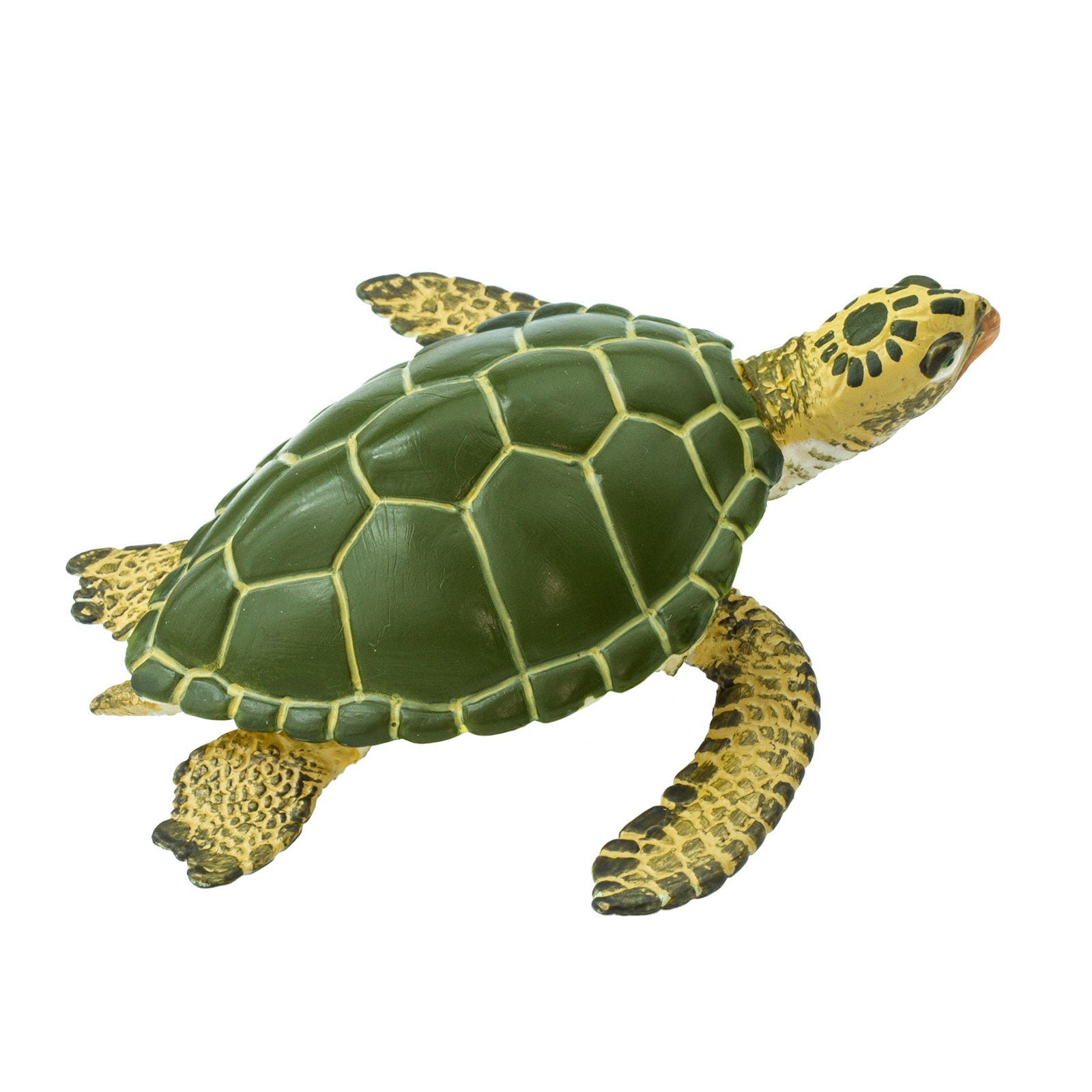 Green Sea Turtle Figurine | Safari Ltd® Ocean Animal Toy | Safari Ltd®