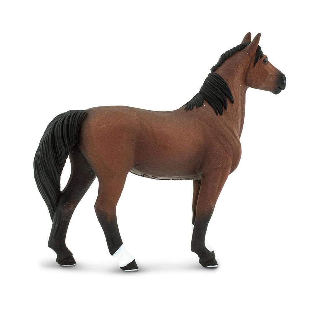 Morgan Stallion Toy | Farm | Safari Ltd®